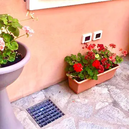Presso La Maison De Gioel Usufruirai Di Un Indipendente Dotato Di Uso Cucina E Lavatrice Arredato In Maniera Funzionale Situato In Ottima Posizione Vicino A Supermercati Caffetterie Pasticcerie Bar Pizzerie E Tanti Altri Servizi * Olbia