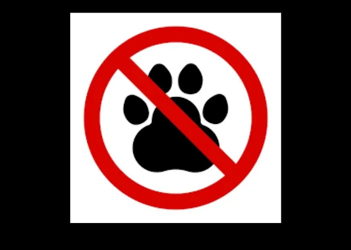 Lamaisondegioelpuntoit Con Uso Cucina E Lavatrice Belle Lamaisondegioelpuntoit Avec Utilisation De La Cuisine Et Machine à Laver Lamaisondegioelpuntoit With Kitchen&washing Appartamento